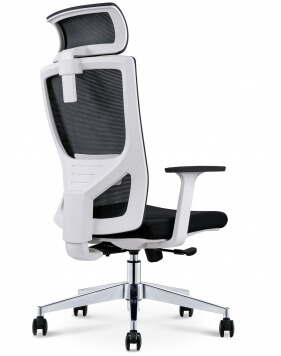Mann White Ergonomic Executive Office Chair 2