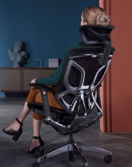 Dvary ergonomic deals chair