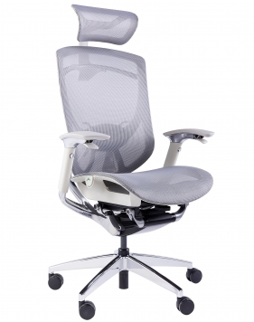 iFit Super Ergonomic Chair