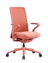 Poly Ergonomic Chair