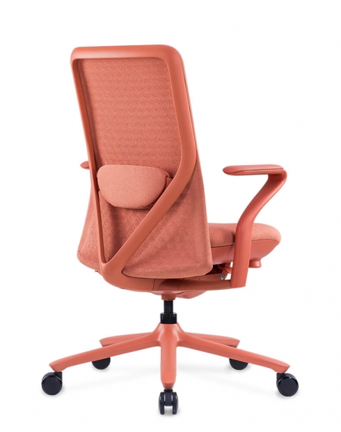 Poly Ergonomic Chair