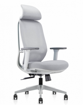 Beta Lichtgrijze Ergonomische Stoel 2