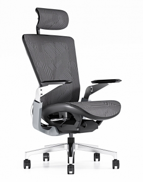 Prime Super Ergonomic Mesh Chair