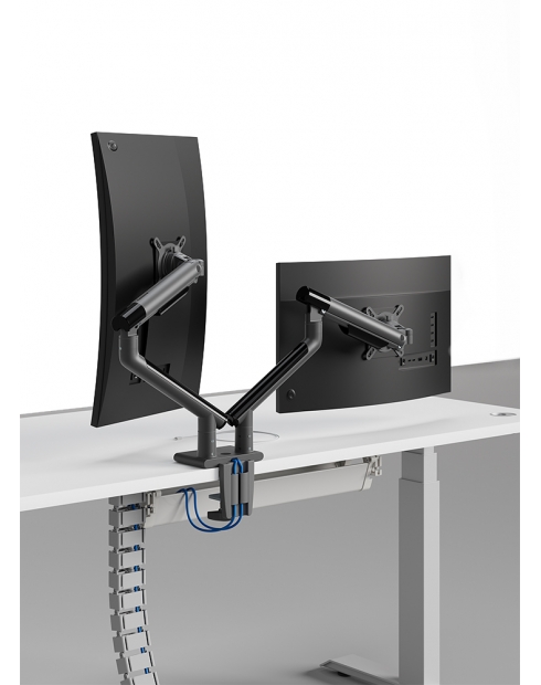 Snap Dual Monitor Desk Mount with USB Ports