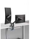 Snap Dual Monitor Desk Mount with USB Ports