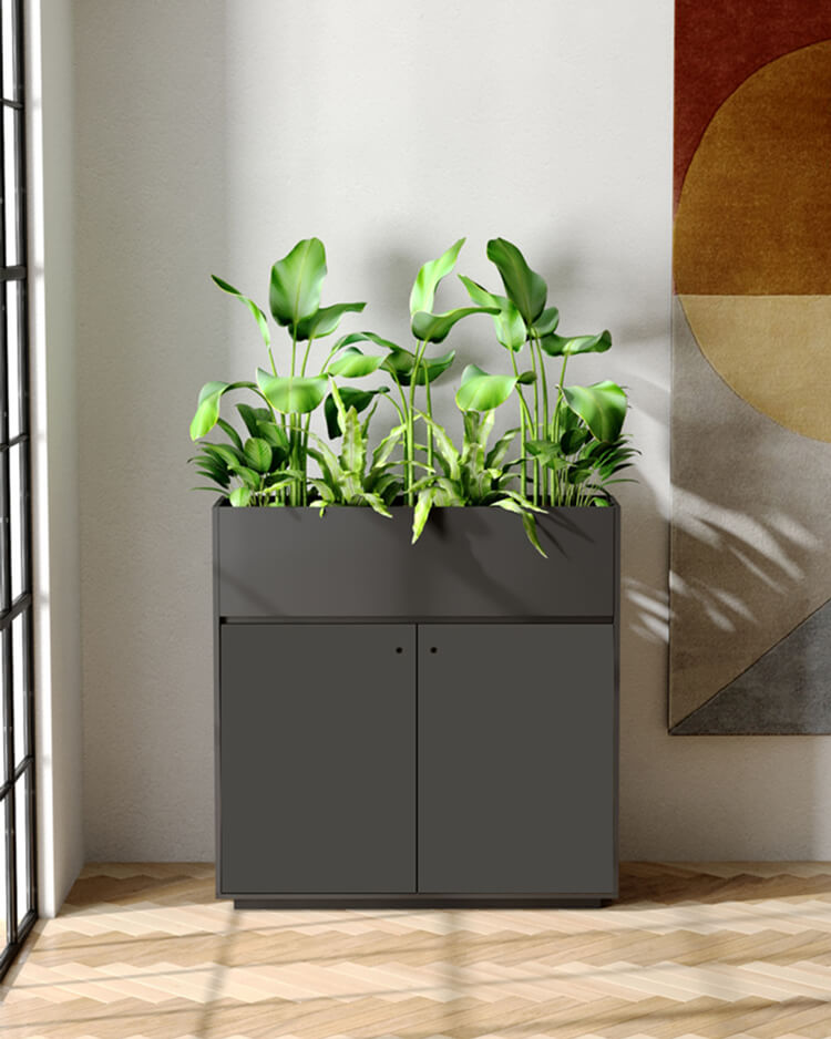 Plantenkast
