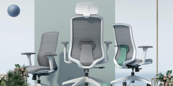 Top 10 Best Ergonomic Chairs